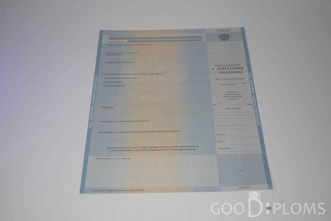 Приложение к Диплому Бакалавра в период c 2003 по 200 год - Кременчуг