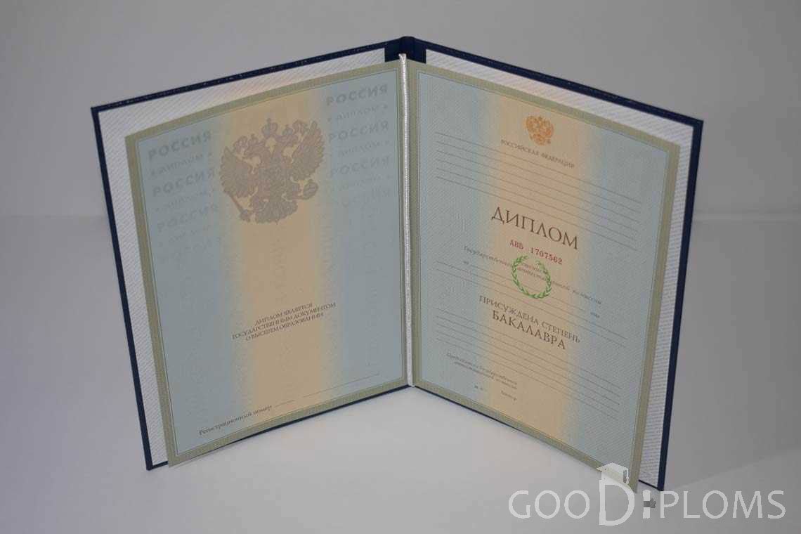 Диплом Бакалавра в период c 2003 по 200 год - Кременчуг