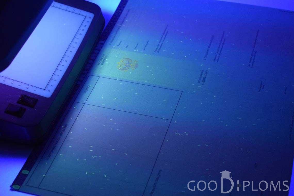 Приложение к Диплому Бакалавра с Отличием в Ультрафиолете период c 2013 по 2025 год - Кременчуг