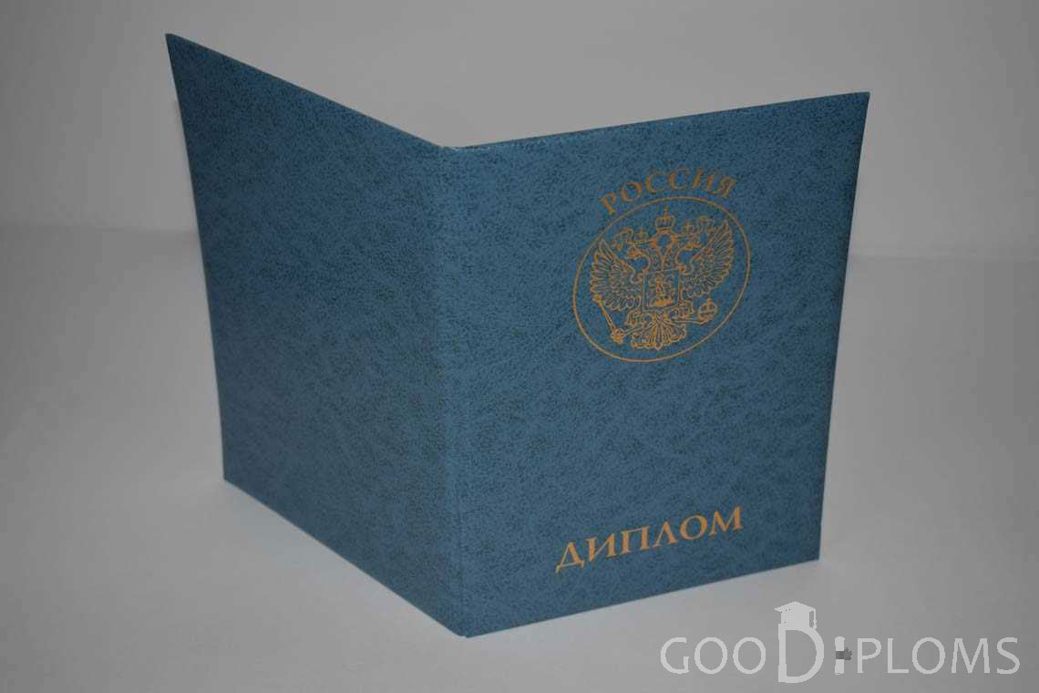 Диплом МВА - Обратная Сторона период выдачи 2011-2020 -  Кременчуг