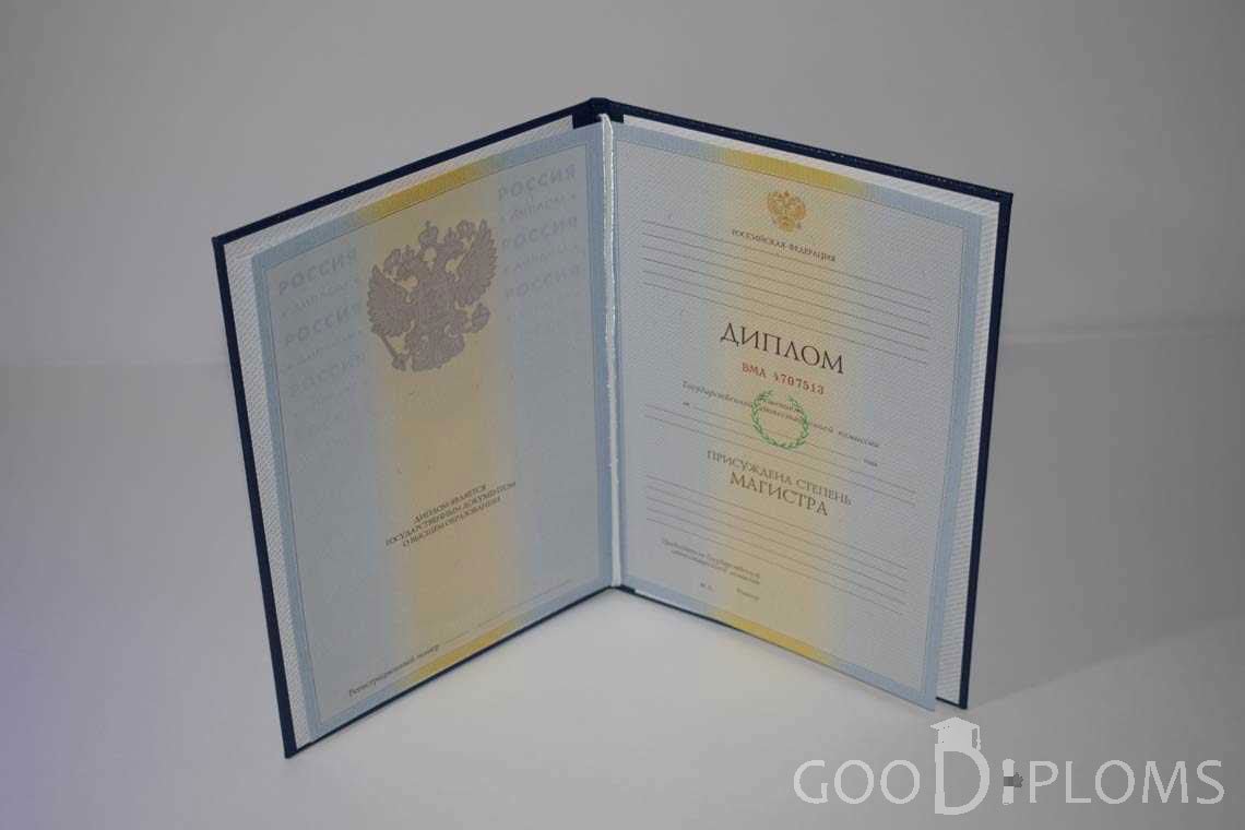 Диплом Магистра в период c 2009 по 2010 год - Кременчуг