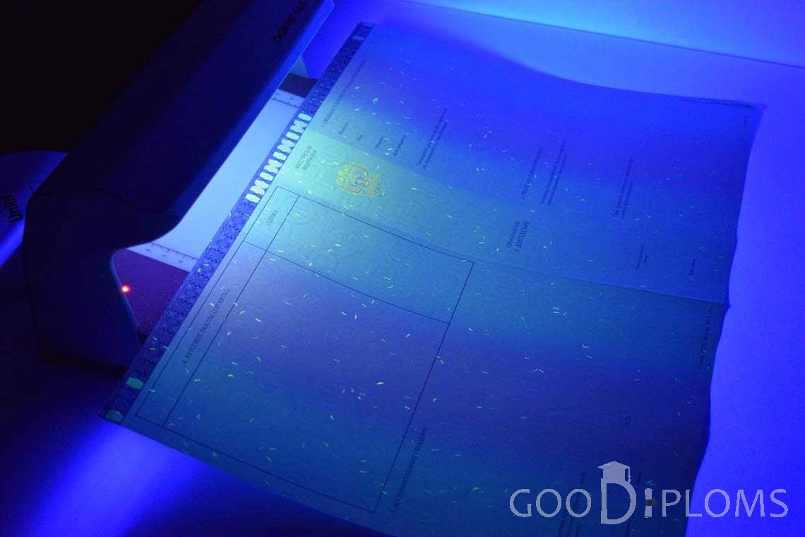 Приложение к Диплому Магистра в Ультрафиолете в период c 2014 по 2025 год - Кременчуг