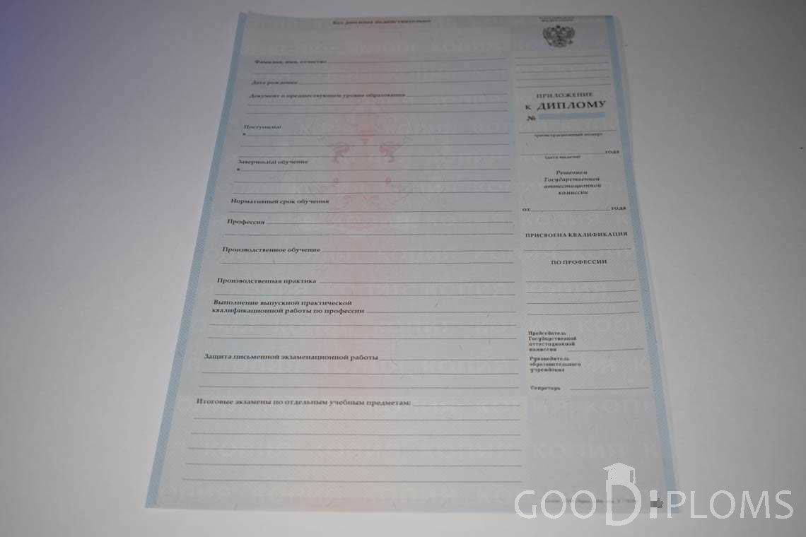 Приложение к Диплому Училища период выдачи 2007-2010  -  Кременчуг