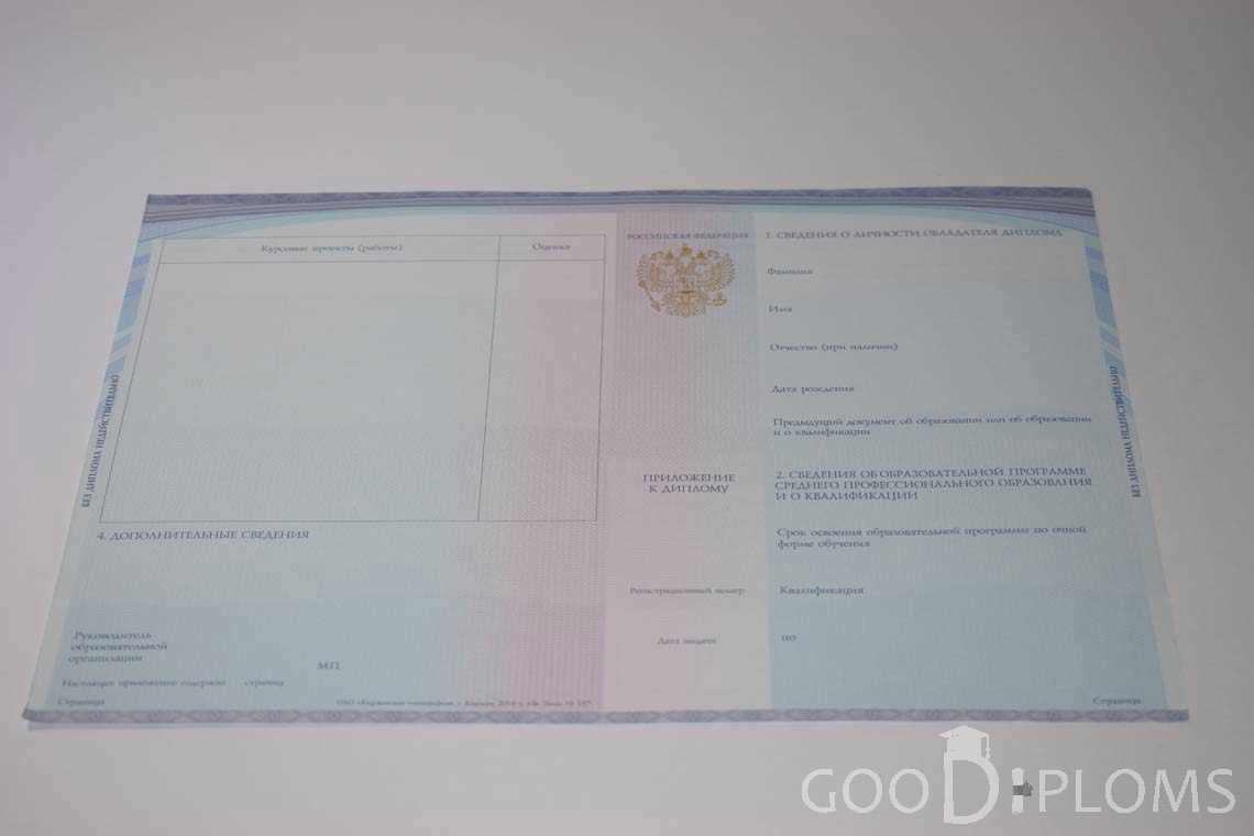 Приложение к Диплому Техникума с Отличием в период c 2014 по 2025 год - Кременчуг