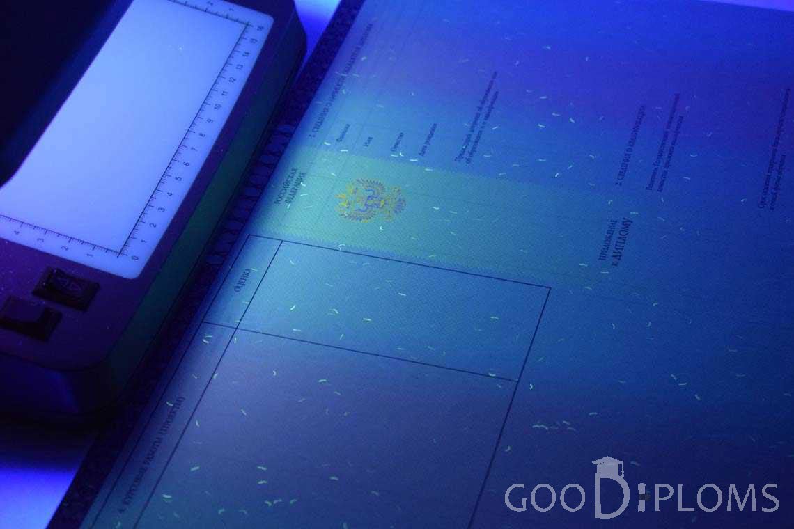 Приложение к Диплому о Высшем Образовании с Отличием в Ультрафиолете - Кременчуг
