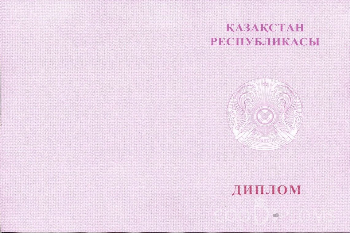 Казахский диплом техникума с отличием - Обратная сторона- Кременчуг